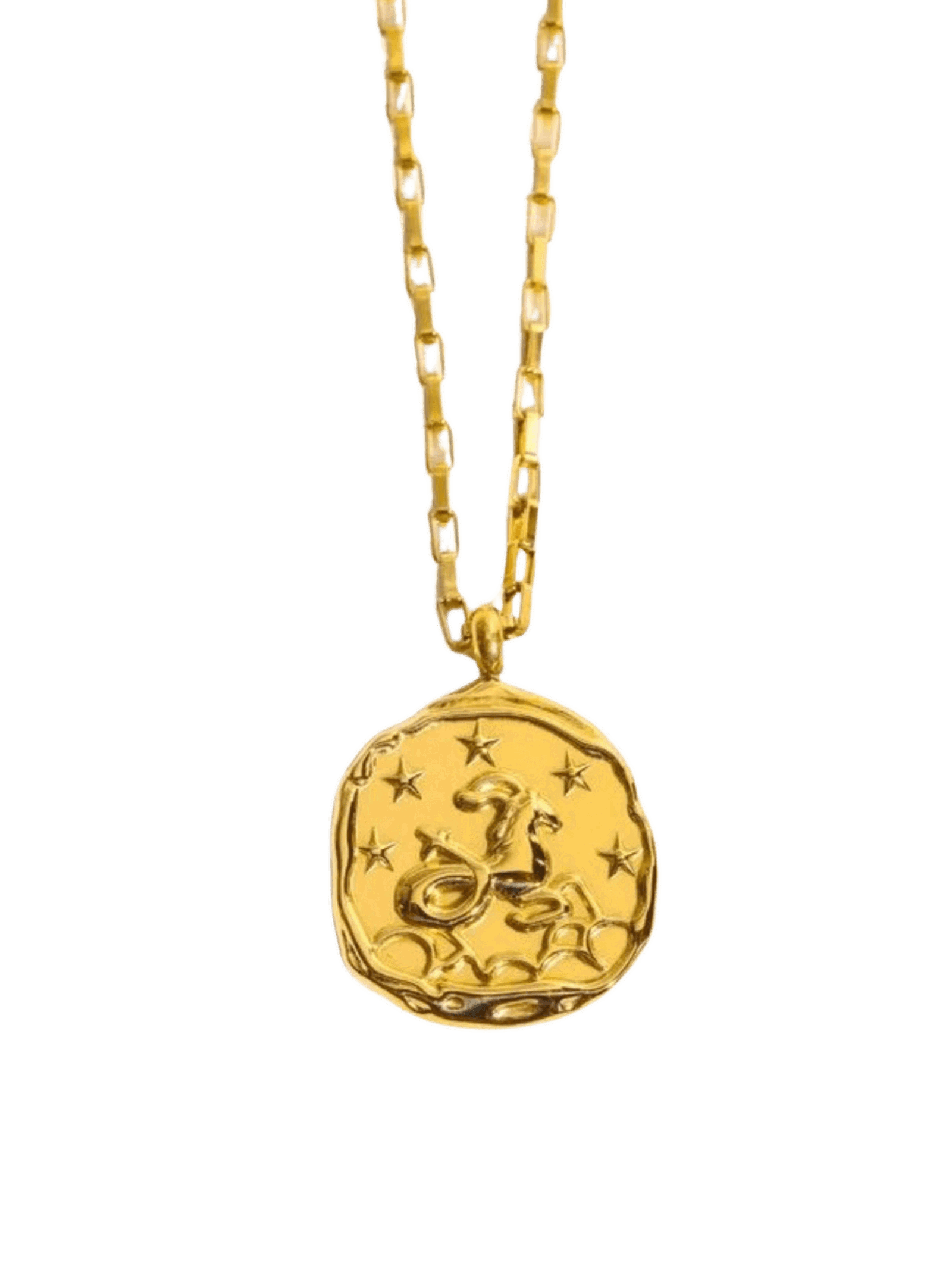 Collar zodiaco signo Capricornio - Gypsy