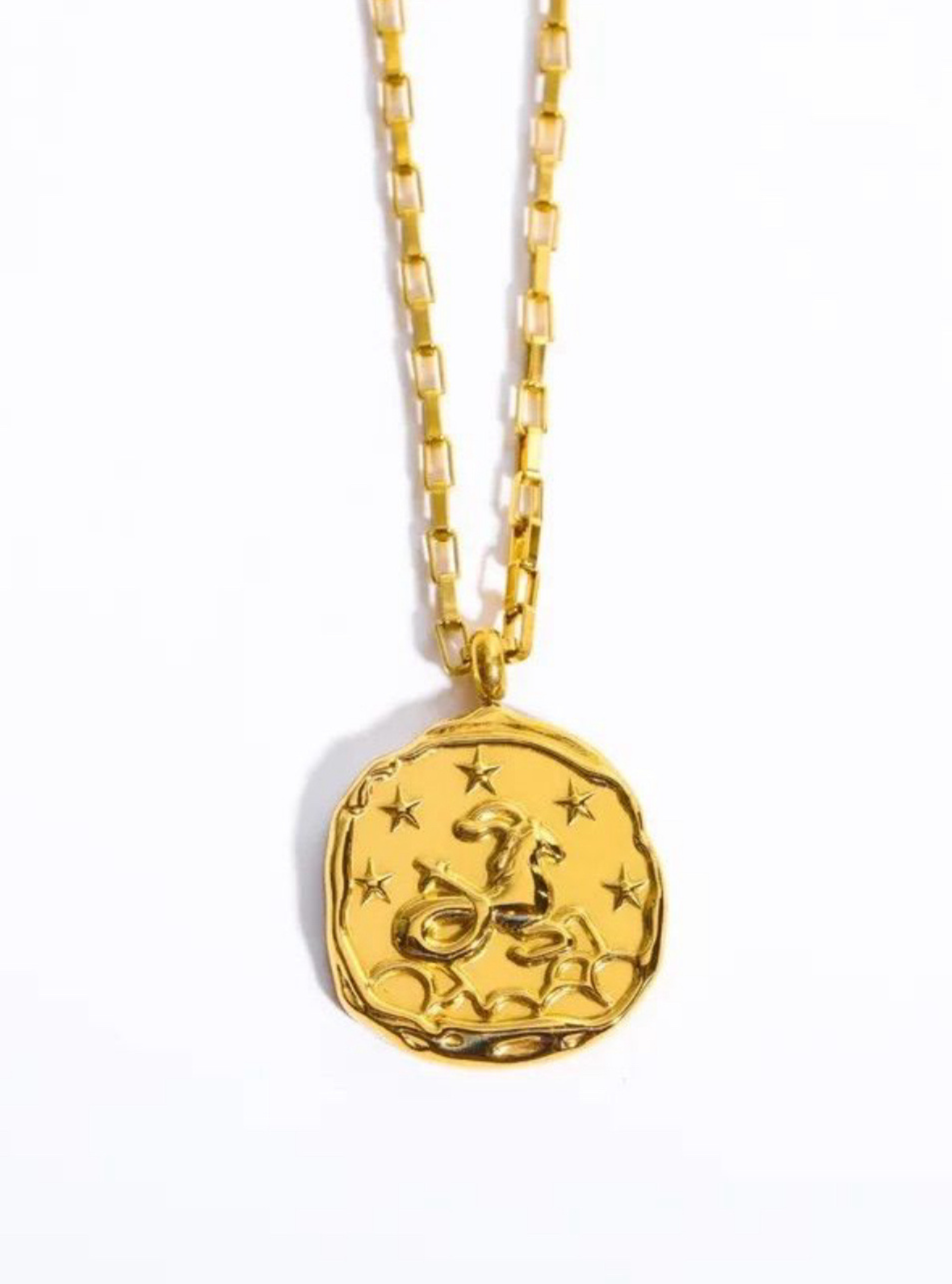 Collar zodiaco signo Capricornio - Gypsy