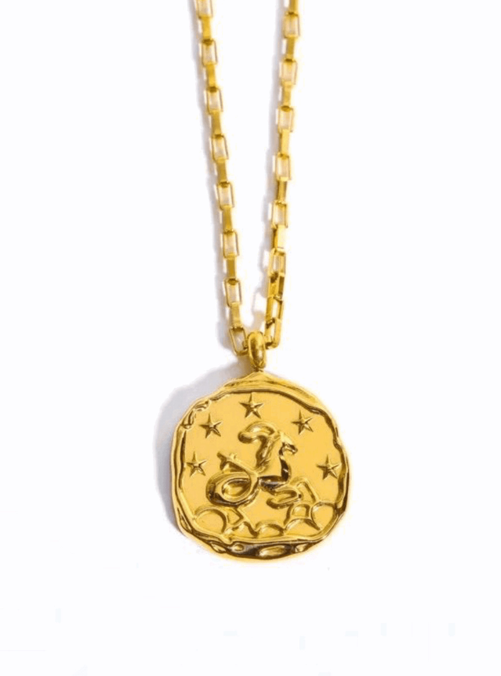 Collar zodiaco signo Capricornio - Gypsy