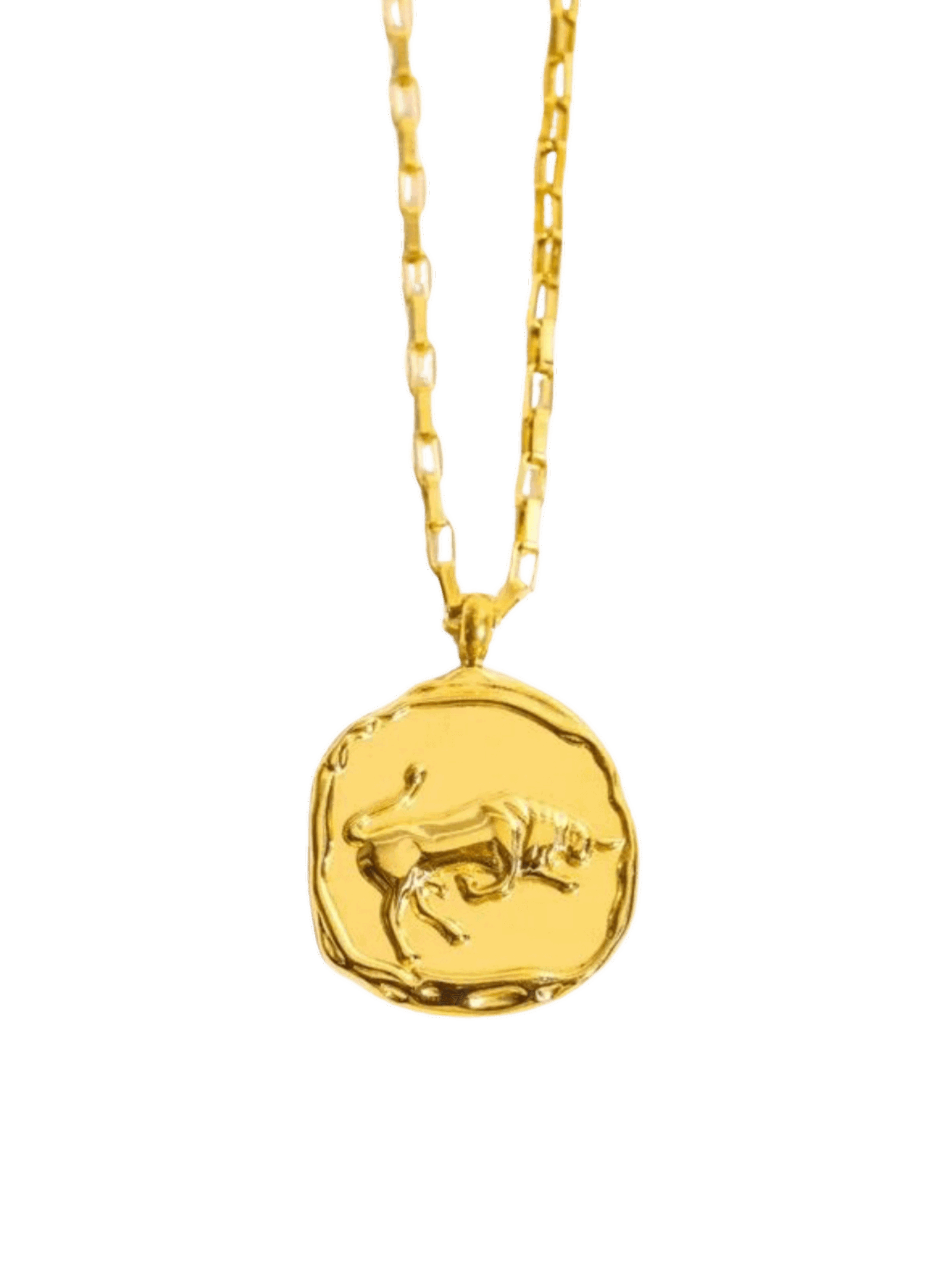 Collar zodiaco signo Tauro - Gypsy